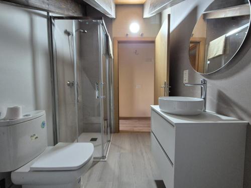 a bathroom with a toilet and a sink and a shower at El Rincón de Escarrilla in Escarrilla