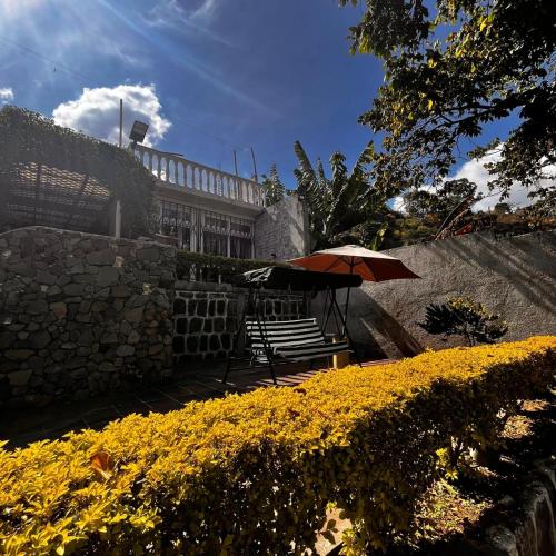 Κήπος έξω από το Casa Dunn by Don Pascual