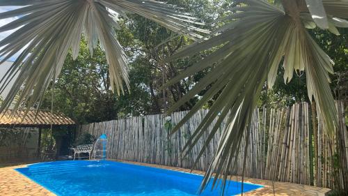 a blue swimming pool with a fence and a palm tree at Pousada Cipó in Serra do Cipo