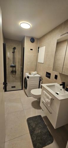 Un baño con inodoro, lavabo y ducha. en Ramfjord Apartment 2, en Tromsø