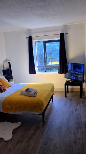 a bedroom with a bed and a flat screen tv at Entire 2bed apartment in Limerick