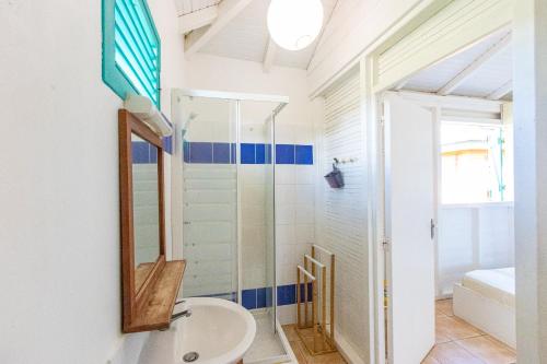 a bathroom with a shower and a sink at Cas'à Willy in Sainte-Rose