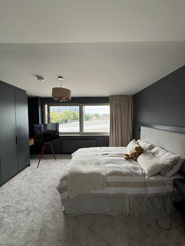 a bedroom with a large bed with a teddy bear on it at 4 bedroom house sleeps 8 next to Aviva Stadium and Landsdown Stadium in Dublin
