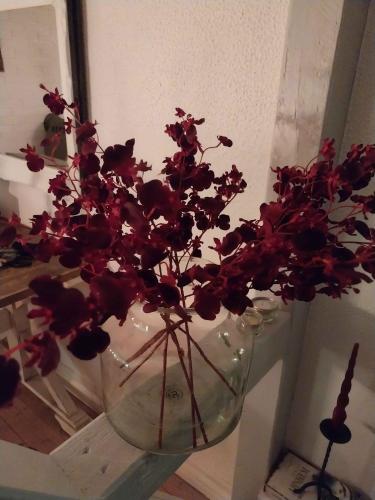 Billede fra billedgalleriet på Farmhouse Cozy House In The Countryside i Stokkemarke