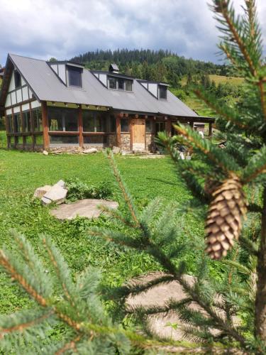 a house with a pine tree in front of it at the Wild in Volosyanka