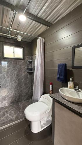 a bathroom with a toilet and a sink at Cabaña Susurro de Susata in Nemocón