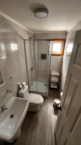 a bathroom with a shower and a toilet and a sink at Terra Hostal in Puerto Natales