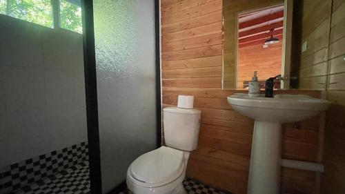 a bathroom with a toilet and a sink at HOSTEL Casa de campo Niña bosque in Valdivia