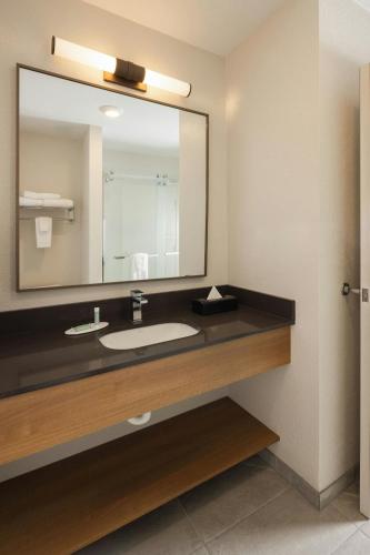 a bathroom with a sink and a large mirror at Fairfield Inn and Suites by Marriott Fort Wayne in Fort Wayne