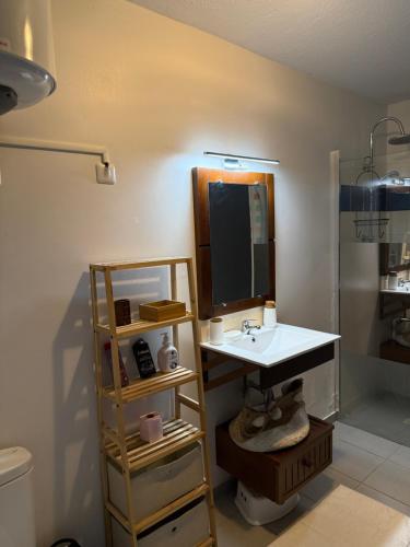 een badkamer met een wastafel en een spiegel bij Kampagn Jacuzzi - Rémire Wifi et climatisation in Bourda