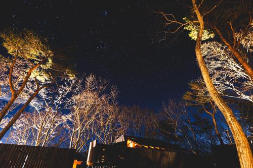 eine Baumgruppe bei Nacht mit einem Haus in der Unterkunft Earthboat Nasu in Nasu