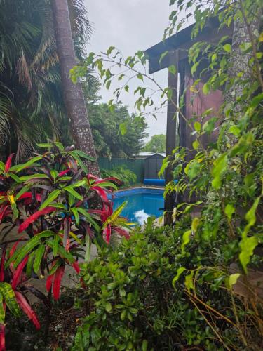 a pool in the backyard of a house with plants at 2 Long between breaks in Coffs Harbour