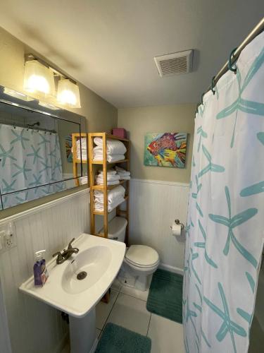 a bathroom with a sink and a toilet and a mirror at Seahorse Bungalow in St. Pete Beach
