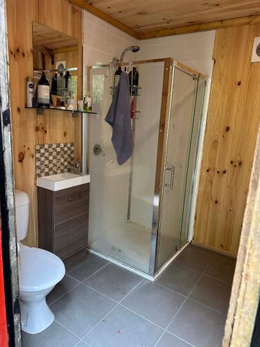 a bathroom with a shower and a toilet at Rancho Relaxo in Blackwood
