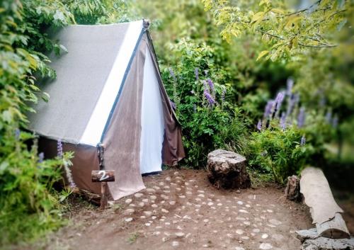埃博森Refugio Holístico Flora Boreal的花园中央的帐篷