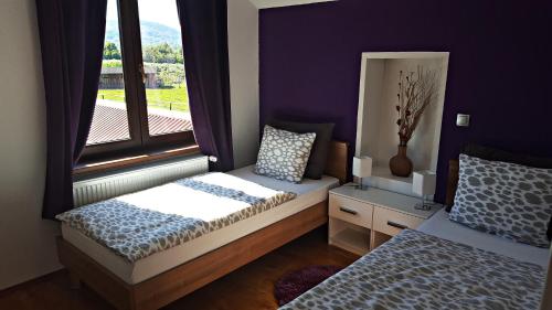 1 dormitorio con 2 camas y ventana en Apartment Lipa, en Irinovac