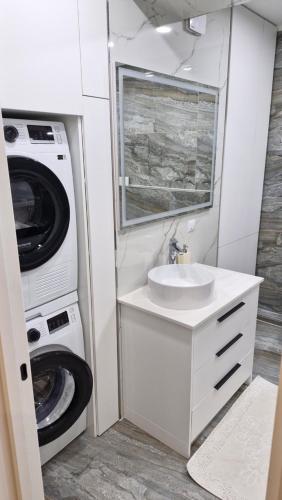 キシナウにあるБотаника .の洗面台と洗濯機を備えたバスルーム
