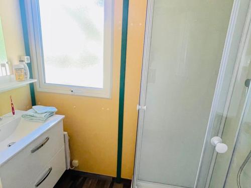 a bathroom with a shower and a sink at Chalet Confort 6 Pers - Terrasse - API-1-52-1032 in Belloc