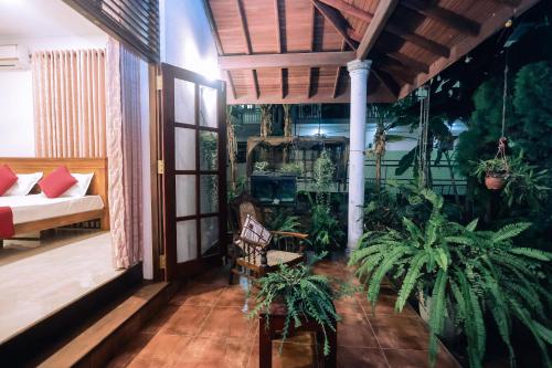 una sala de estar con sofá y plantas. en Hamilton View, en Negombo