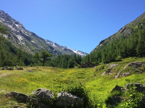 a field of grass with mountains in the background at Chalet Stadel in Saas-Grund