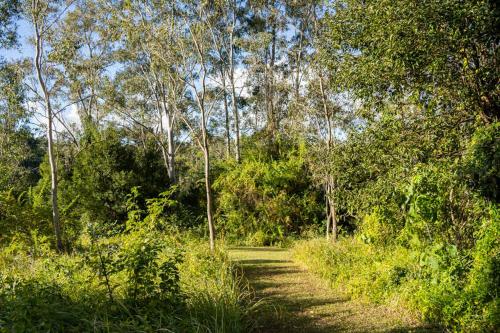 Paisaje cerca de esta casa o chalet