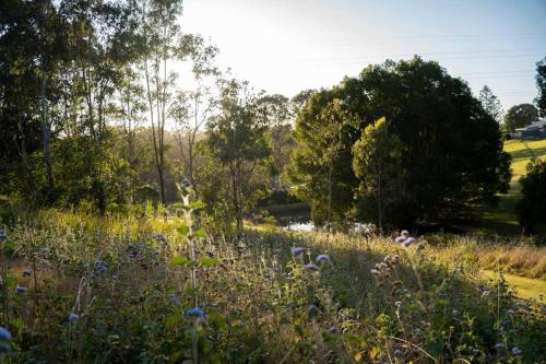 Paisaje cerca de esta casa o chalet