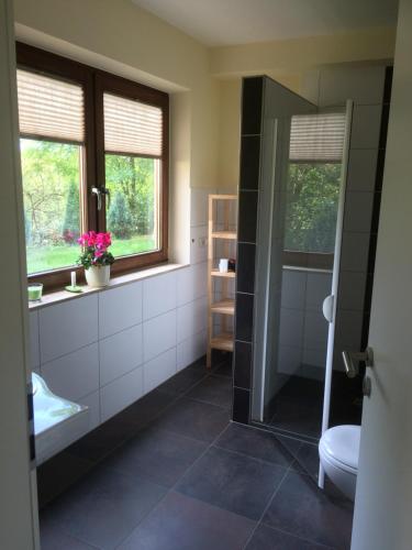 a bathroom with a shower and a toilet at Haus am Leimersbach in Hattenheim