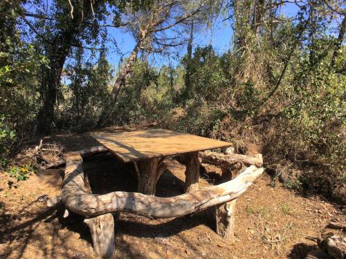 Φωτογραφία από το άλμπουμ του Huge Holiday Home in Marina di Castagneto Carducci near Sea σε Donoratico