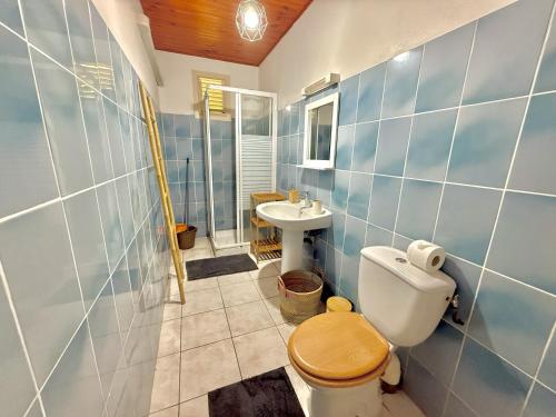 un baño con inodoro y lavabo en Appt T3 - Bourg de Sainte Anne, en Sainte-Anne
