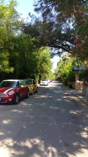 a group of cars parked on a street with trees at B & B Villa Flora in Mondello