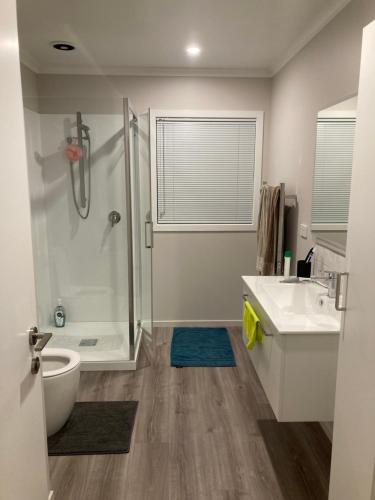 哈士汀Olive & Jarvis Homestay的带淋浴、马桶和水槽的浴室