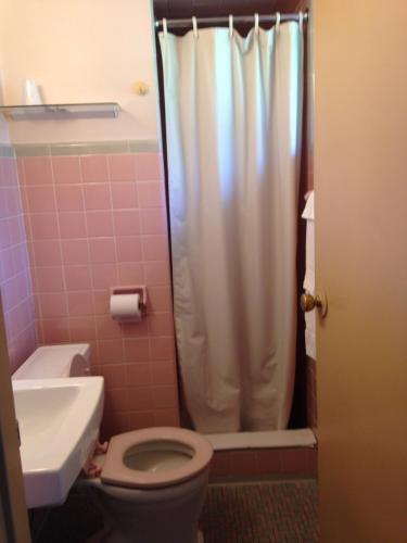 łazienka z toaletą i zasłoną prysznicową w obiekcie Heidelberg Motel w mieście Bridgeport