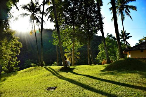 a lush green field with palm trees and a house at Athulya Villas, Kandy in Kadugannawa
