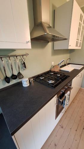 Η κουζίνα ή μικρή κουζίνα στο Forest House Henriette