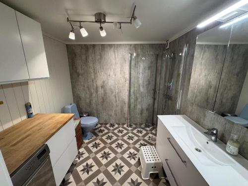 a bathroom with a sink and a shower and a toilet at 10 person holiday home in Stathelle-By Traum in Stathelle