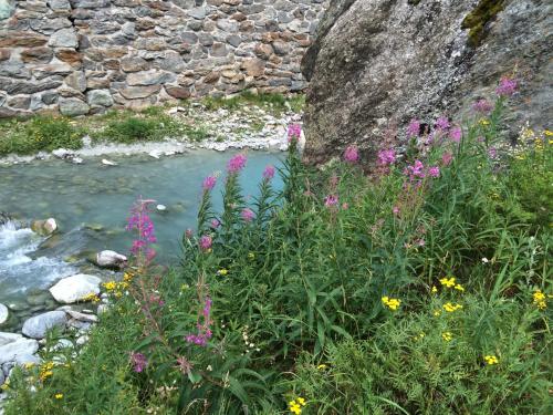 a stream with flowers in front of a stone wall at Haus Alpenstern in Saas-Grund
