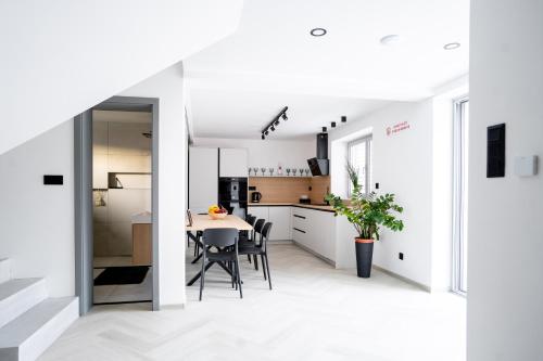 Køkken eller tekøkken på Boutique hotel Vila Mudaj