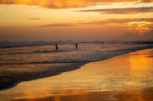 Kelapa Retreat and Spa — Beach