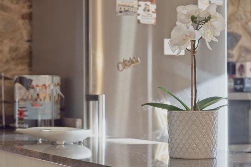 Eine Vase mit weißen Blumen auf einer Theke in der Unterkunft Casa Rural Ucedo in Ucedo