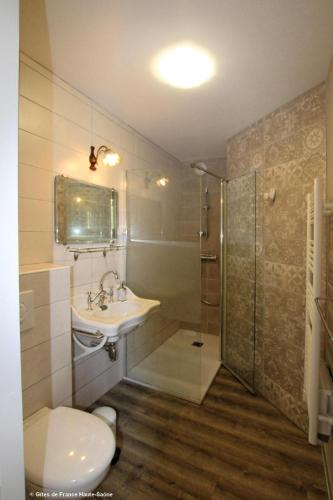 a bathroom with a toilet and a sink and a shower at Chambre Coton, Au Fil du Temps in Fougerolles