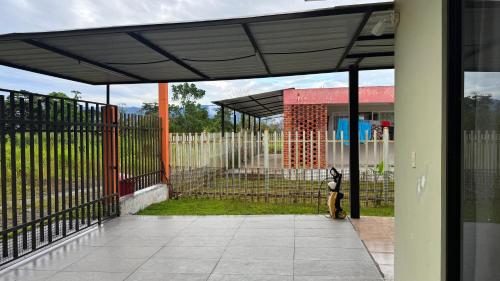 eine Katze, die auf einer Terrasse neben einem Zaun sitzt in der Unterkunft Habitación doble # 3 in Macas