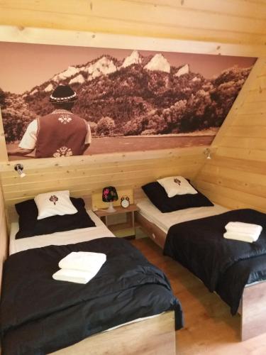 two beds in a room with a painting on the wall at Góralskie domki pod Koronami in Krościenko
