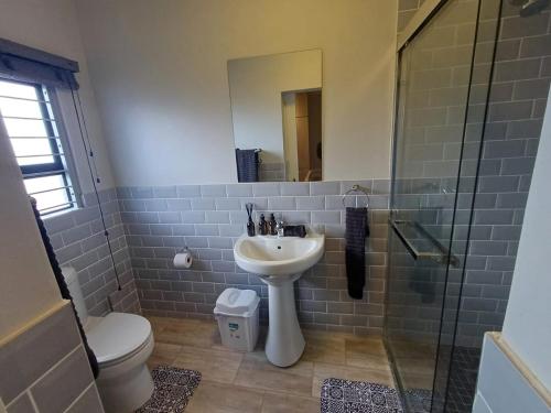 a bathroom with a sink and a toilet and a mirror at Carshalton Cottage in Mooirivier