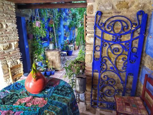 Patio Vesubio El patio azul Bohemio Mágico