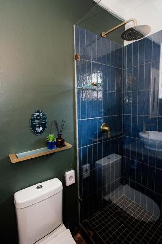 a bathroom with a blue tiled shower and a toilet at Park Road Apartments in Howick