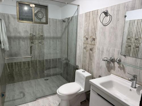 ein Badezimmer mit Toilette, Dusche und Waschbecken in der Unterkunft Mahnoor Living Apartment Peshawar in Peschawar