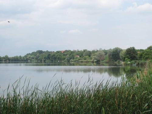 Příroda nedaleko prázdninového domu