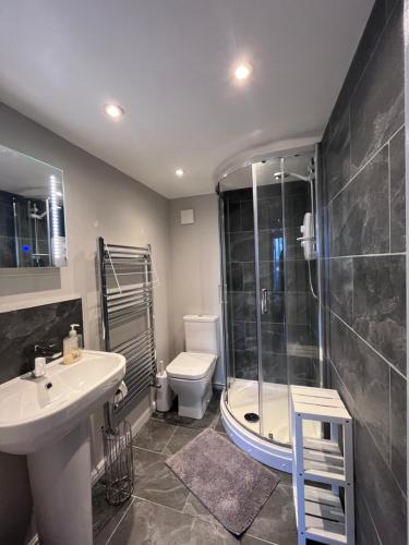 a bathroom with a shower and a sink and a toilet at Bryn Haul Sunny Hill in Trearddur