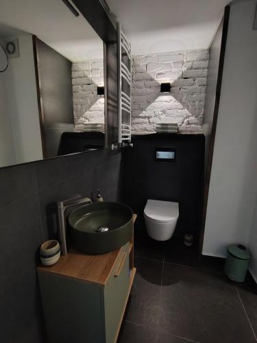 a bathroom with a sink and a toilet at T38 Apartment, Vatra Dornei in Vatra Dornei
