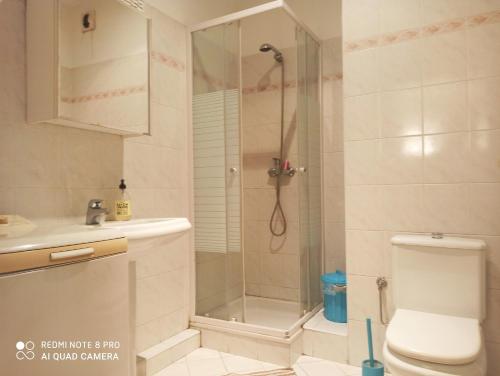 a bathroom with a shower and a toilet and a sink at Lovely view in Nice